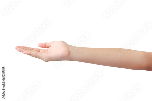 young woman's hands in beautiful poses on white background