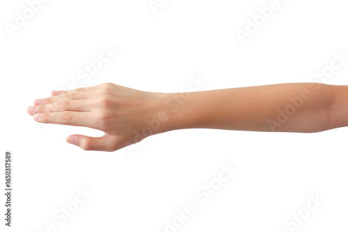 young woman's hands in beautiful poses on white background