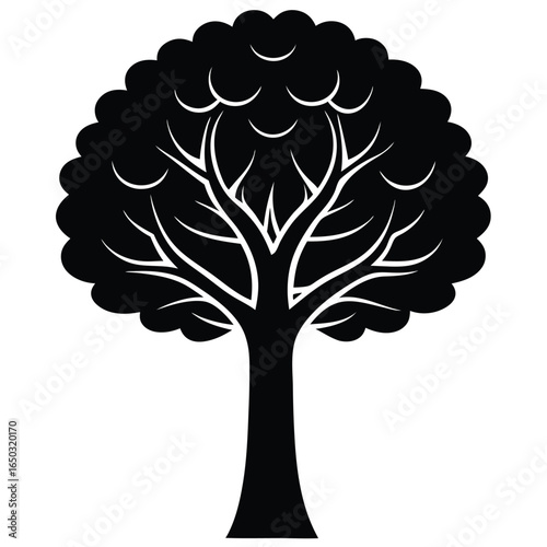 poplar tree vector icon