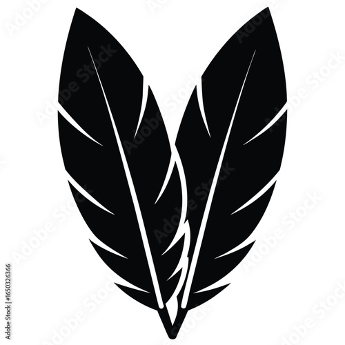 turkey feathers vector icon