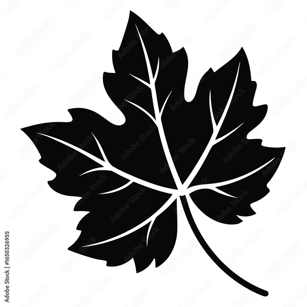 Fototapeta premium vine leaf vector icon