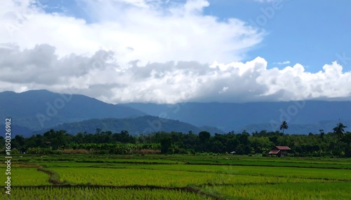 Lush rice paddies stretch to distant mountains under a partly cloudy sky