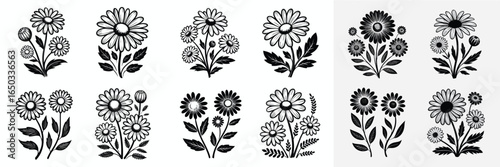 Elegant Daisy Flower Arrangements Black and White Line Art Floral Illustrations Collection