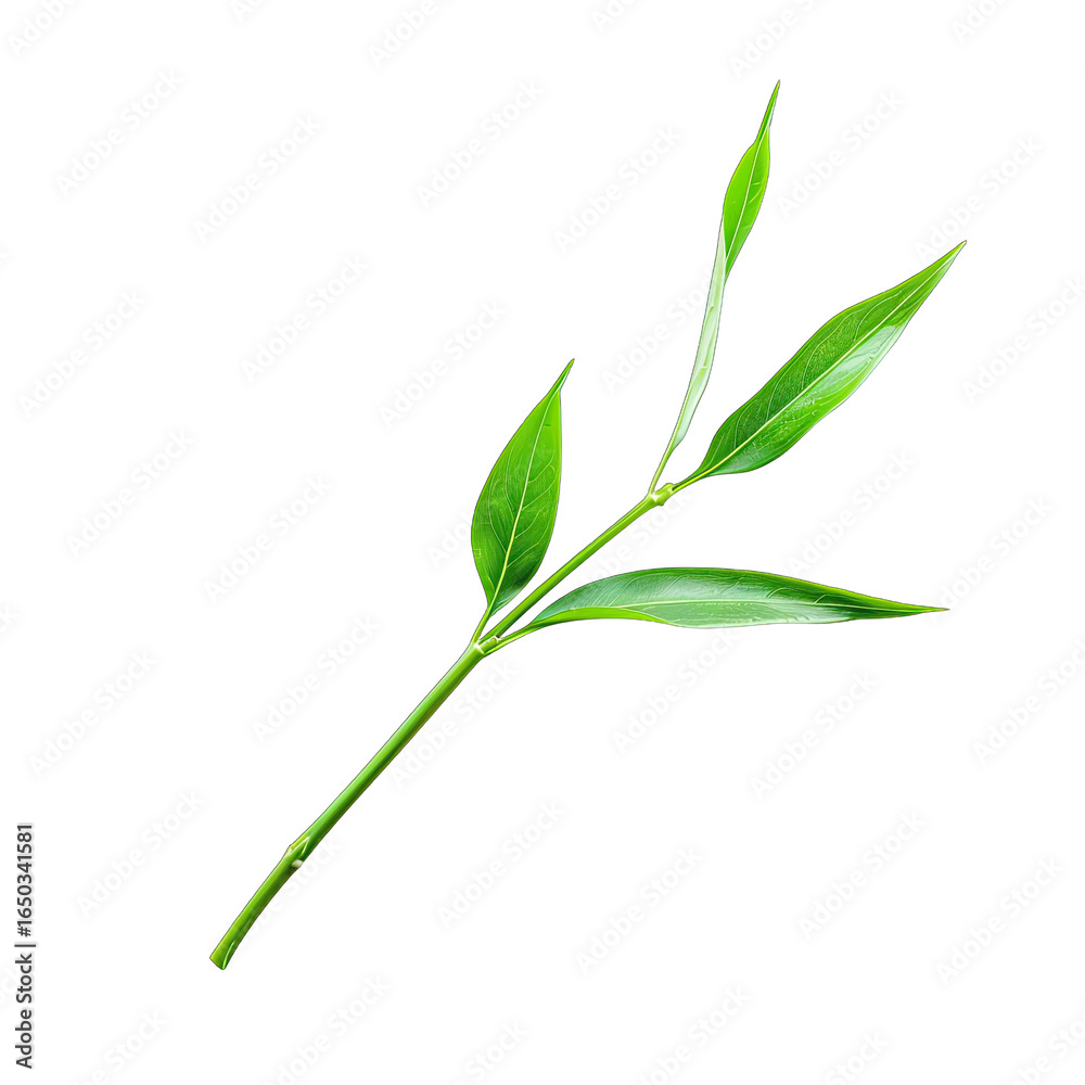 Fototapeta premium Close-up of a tea branch with vibrant green leaves