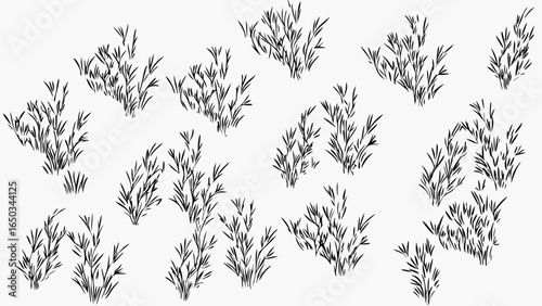 Vector illustration of multiple clusters of grass or reeds in black ink on a white background in a pattern