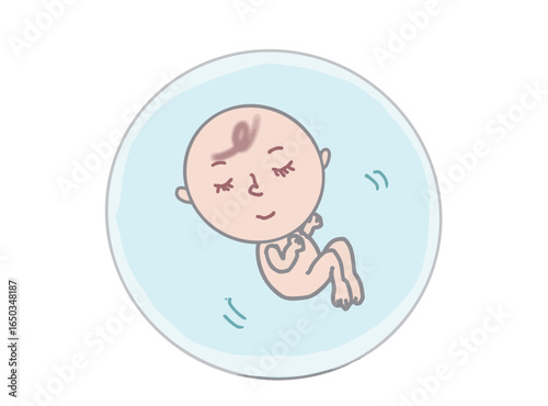 Illustration of a sleeping fetus in different positions