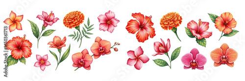 A vibrant collection of beautifully illustrated flowers in hues of pink and orange.