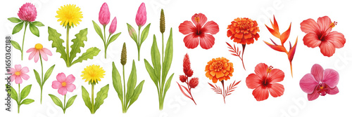A vibrant collection of colorful flowers featuring pink, red, and yellow blooms.
