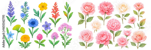 A vibrant collection of illustrated flowers in various colors and styles, perfect for design projects.