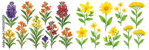 A vibrant selection of colorful flowers in various shapes and sizes, showcasing nature's beauty.