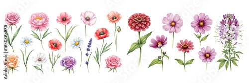 A beautiful array of vibrant flowers featuring roses, daisies, and poppies, creating a cheerful display.