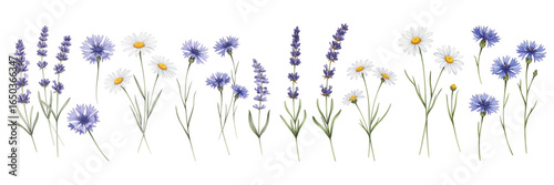 A colorful array of blossoms, featuring daisies and lavender, arranged beautifully.