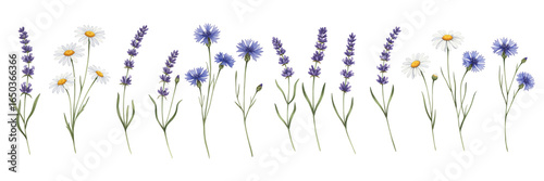 A vibrant row of colorful flowers, including daisies and lavender, creating a cheerful atmosphere.