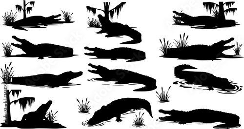Silhouette of an alligator in a swampy landscape with trees and grass and water with circular shapes below |eps vectors set