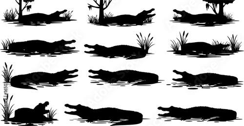 Silhouette of an alligator in a swampy landscape with trees and grass and water with circular shapes below |eps vectors set