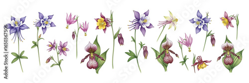 A vibrant collection of various floral species, showcasing colorful blooms and lush greenery.