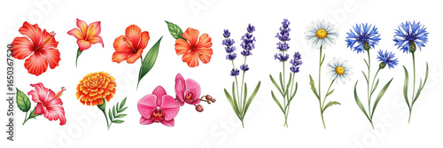 A vibrant collection of tropical flowers in various colors and shapes, ideal for decorative use.