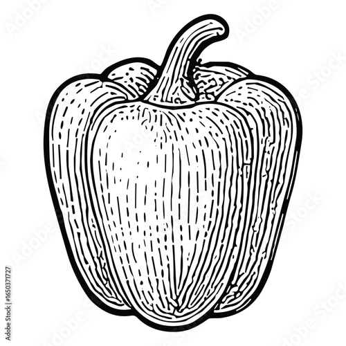 Bell Pepper