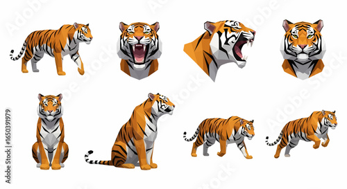 Collection of illustrations featuring various poses and expressions of a majestic tiger.