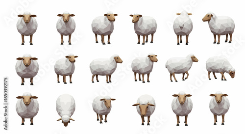 A collection of stylized, low-polygon sheep depicted from various frontal, side, and overhead perspectives against a clean white background.