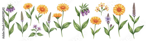 A vibrant display of various wildflowers in shades of yellow, purple, and green.