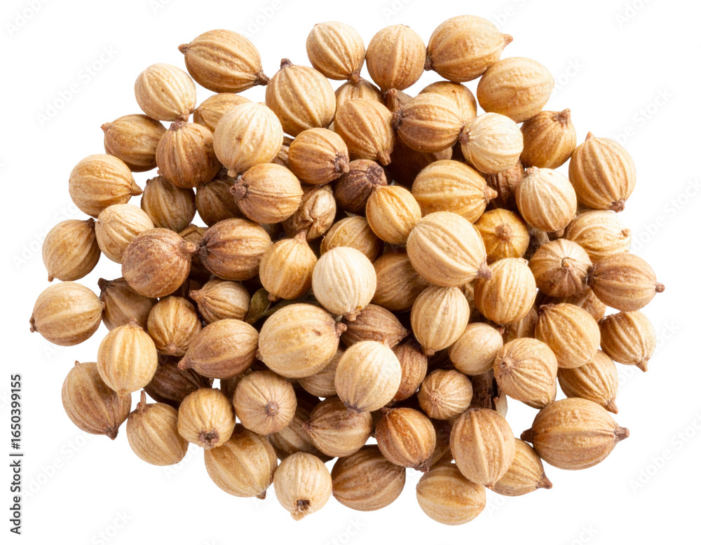 Spice Coriander Seeds PNG Transparent Background Spice Coriander Seeds PNG Transparent Background