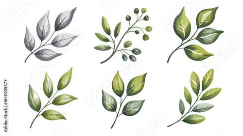 Watercolor Branches and Leaves Isolated on White Background Botanical Illustration Set