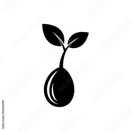 Illustration of a sprouting seed with two leaves in black and white on a white background art