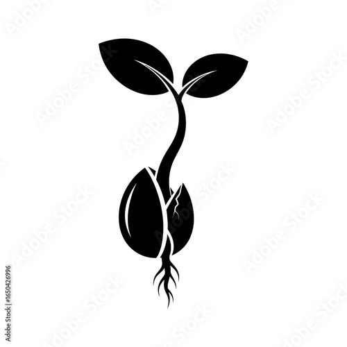 A stylized black and white illustration of a sprouting seed with leaves and roots visible in detail