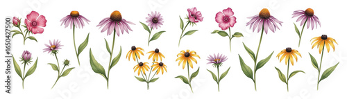 A vibrant collection of hand-drawn flowers in various colors and shapes against a transparent background.