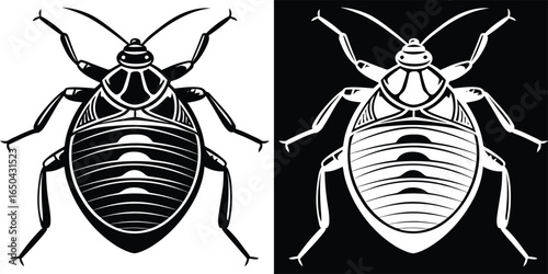 Bold beetle graphic in black and white, perfect for educational resources or striking entomology designs today