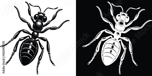Bold ant illustration ready for your project black white insect design bug wildlife, vector