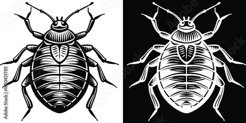 Illustrative bed bug icon on contrasting panels for pest control awareness and educational graphics
