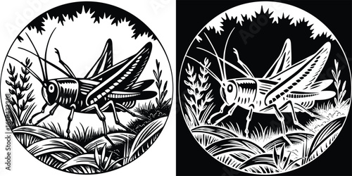 Detailed grasshopper illustration in black and white for nature lovers or science projects
