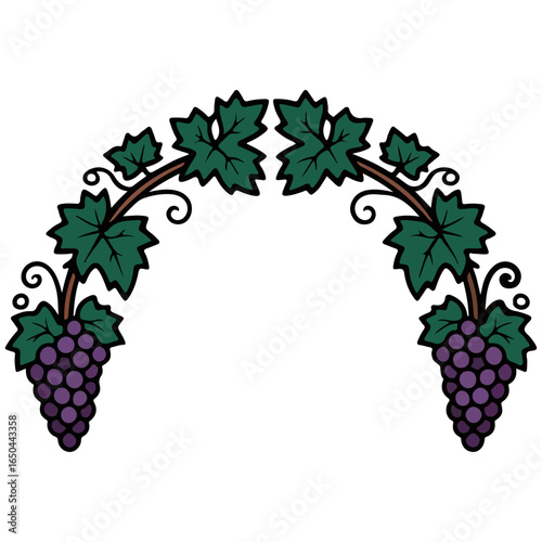 Grapevine Vectors Realistic Hand-drawn Floral, Fruit, Branch, Leaves, Green Leaf, Frame Symbol Icons.