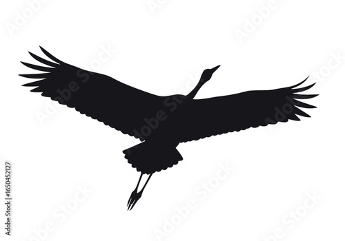 Silhouette of a large bird with wings spread flying gracefully across the sky