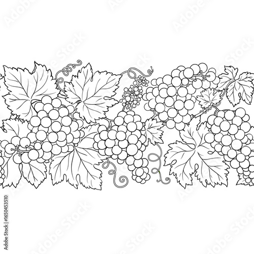 Grapes Branch with Flowers, Berries and Leaves Outline Horizontal Seamless Pattern. Organic natural nutritional healthy food ingredient, vegetarian diet product. Vector isolated for design or decorati
