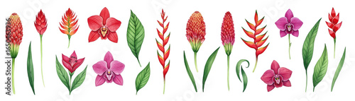 Vibrant floral illustration featuring various exotic flowers and lush green leaves.