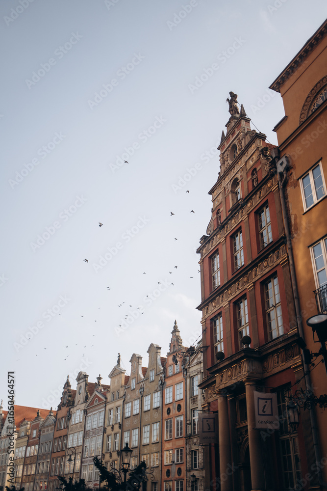 Obraz premium A unique low-angle shot of a row of ornate, historic gabled buildings in Gdansk, Poland, with a flock of birds flying in a pale blue sky.