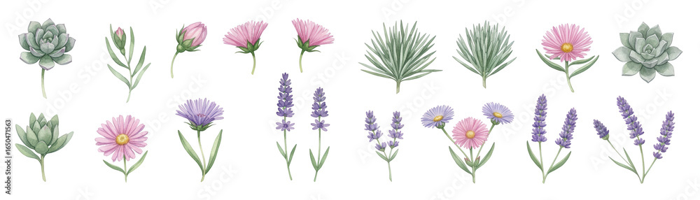 Fototapeta premium A collection of beautiful hand-drawn flowers and succulents in various colors and styles.