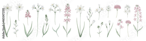 A beautiful collection of hand-drawn flowers, showcasing various species in soft pastel colors.