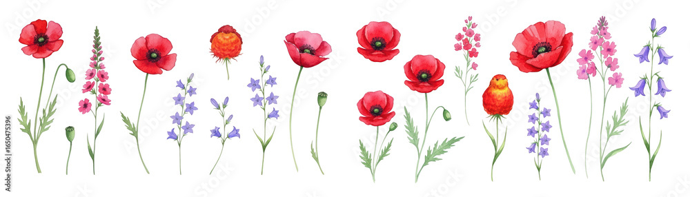 Fototapeta premium Vibrant hand-drawn illustration of various flowers, including red poppies and purple bellflowers.