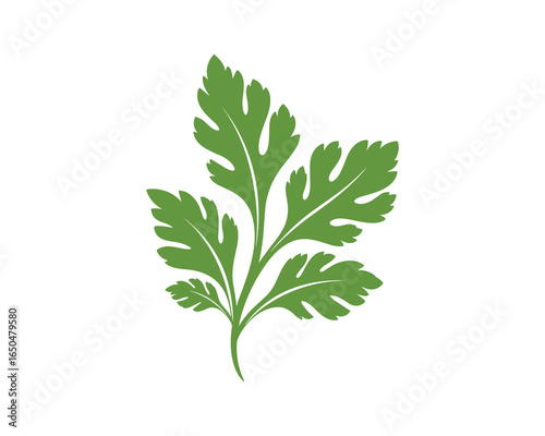 A sprig of fresh green parsley. Culinary herb, aromatic, cooking ingredient. Vector illustration.