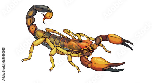 venomous scorpion detailed vector illustration with transparent background