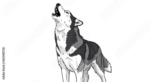 majestic husky howling transparent vector illustration for design projects