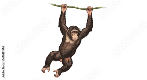 playful chimpanzee hanging on branch transparent background illustration