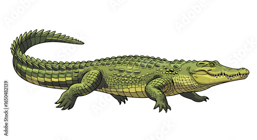 powerful crocodile illustration transparent background for design projects