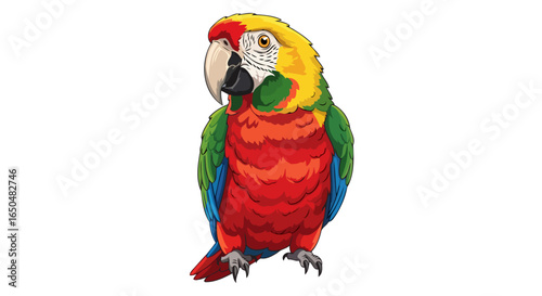 vibrant macaw parrot illustration transparent background for design projects