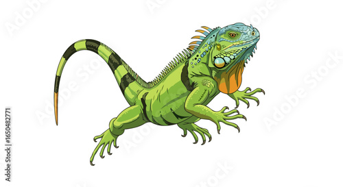 vibrant green iguana illustration transparent background for design projects