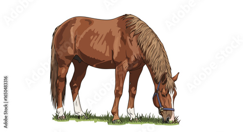 chestnut horse grazing transparent background vector illustration for design projects